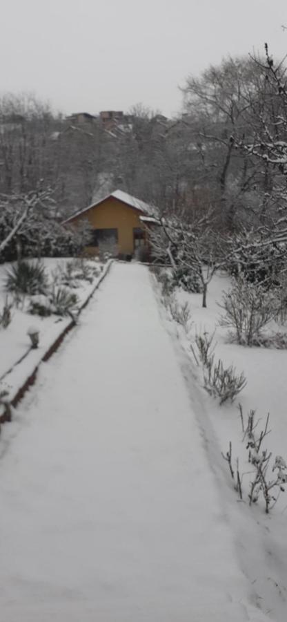 Pensiunea Lucia Ana Cluj-Napoca Exterior foto